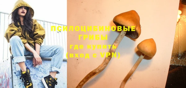 ECSTASY Липки