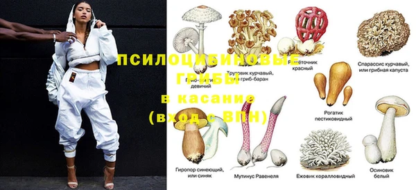 спиды Ладушкин